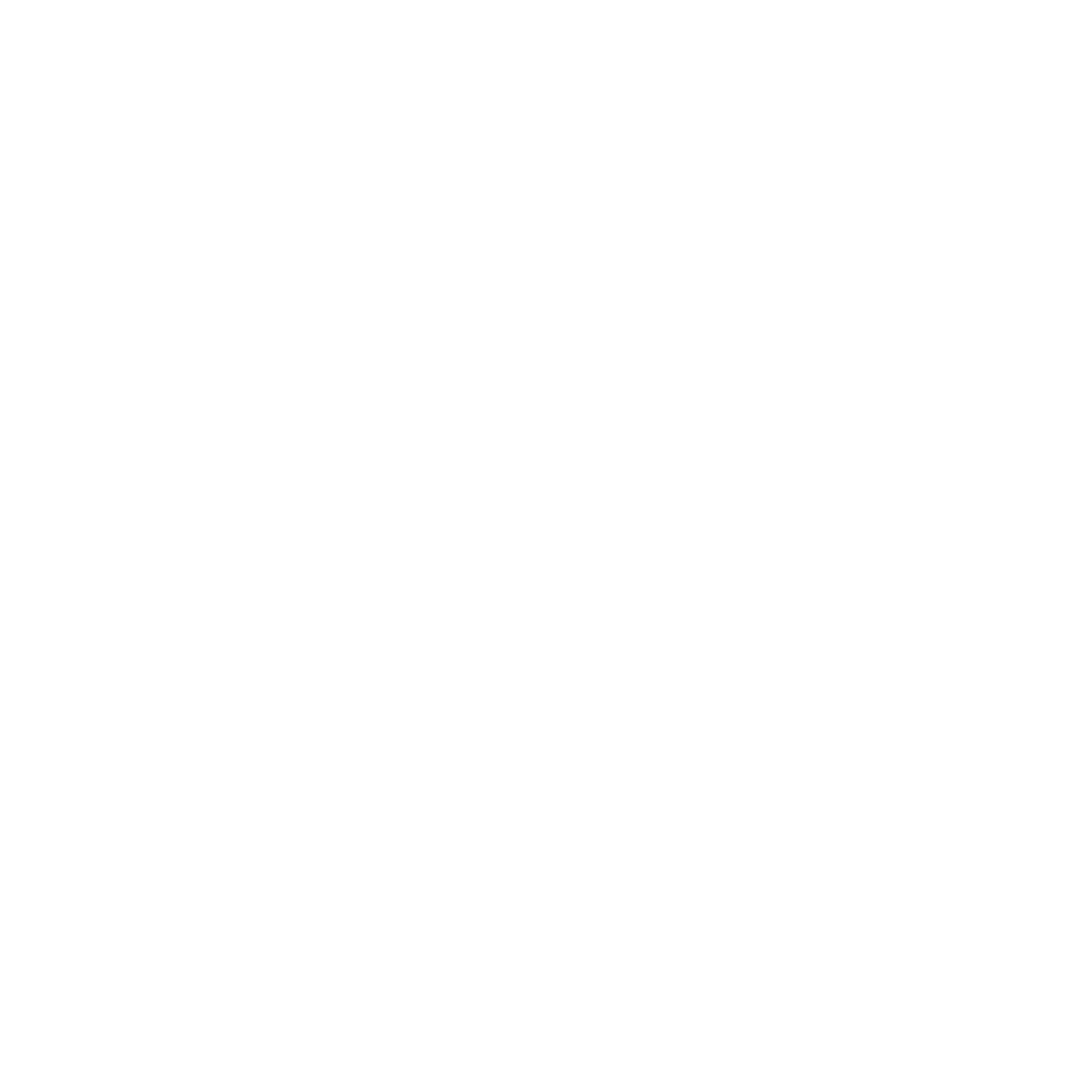precisionautohailrepair.com